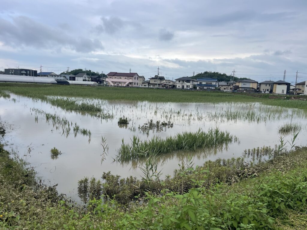 2026年7月17日豪雨 大谷遊水池 7月18日