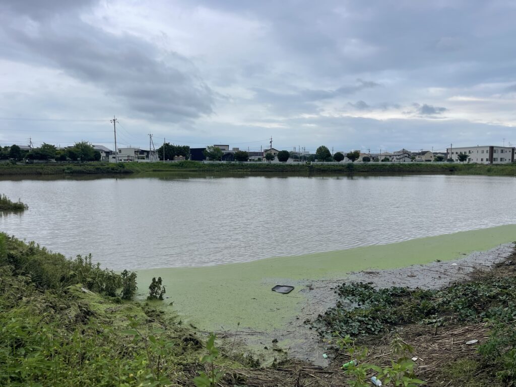 2026年7月17日豪雨 大谷遊水池 7月18日