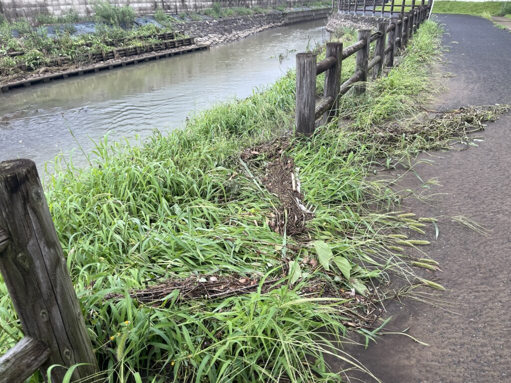 2026年7月17日豪雨 鶴巻川 堆積した土砂の中州付近にあふれた痕跡 7月18日