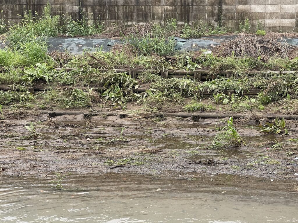 2026年7月17日豪雨 鶴巻川 堆積した土砂による中洲付近にあふれた痕跡が 7月18日