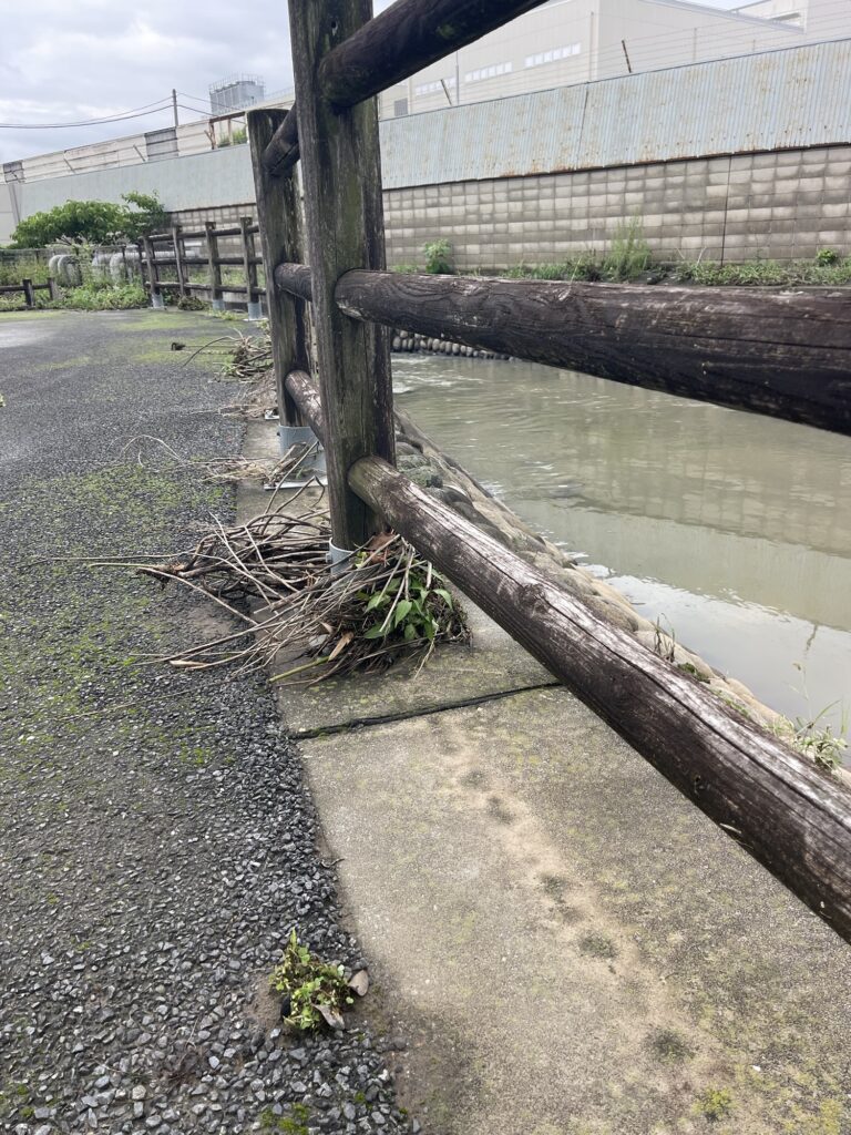2026年7月17日豪雨 鶴巻川 あふれた痕跡 7月18日