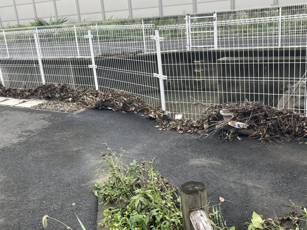 2026年7月17日豪雨 鶴巻川 7月18日