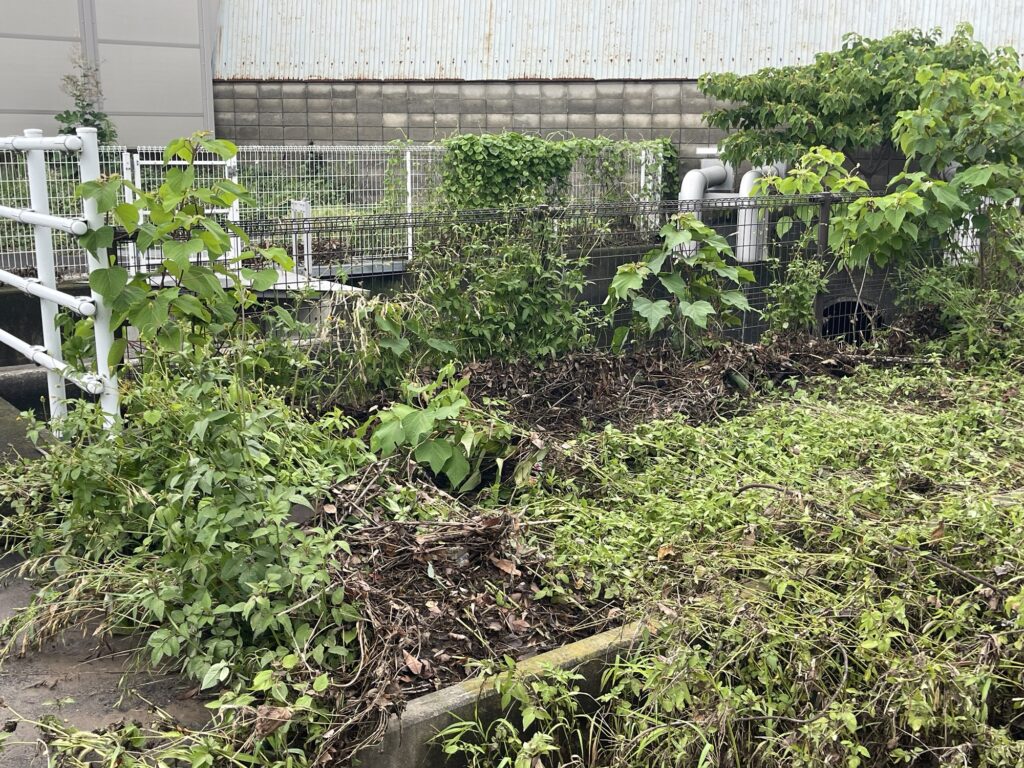 2026年7月17日豪雨 あふれた鶴巻川 7月18日