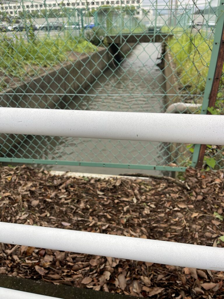 2026年7月17日豪雨 あふれた鶴巻川 7月18日