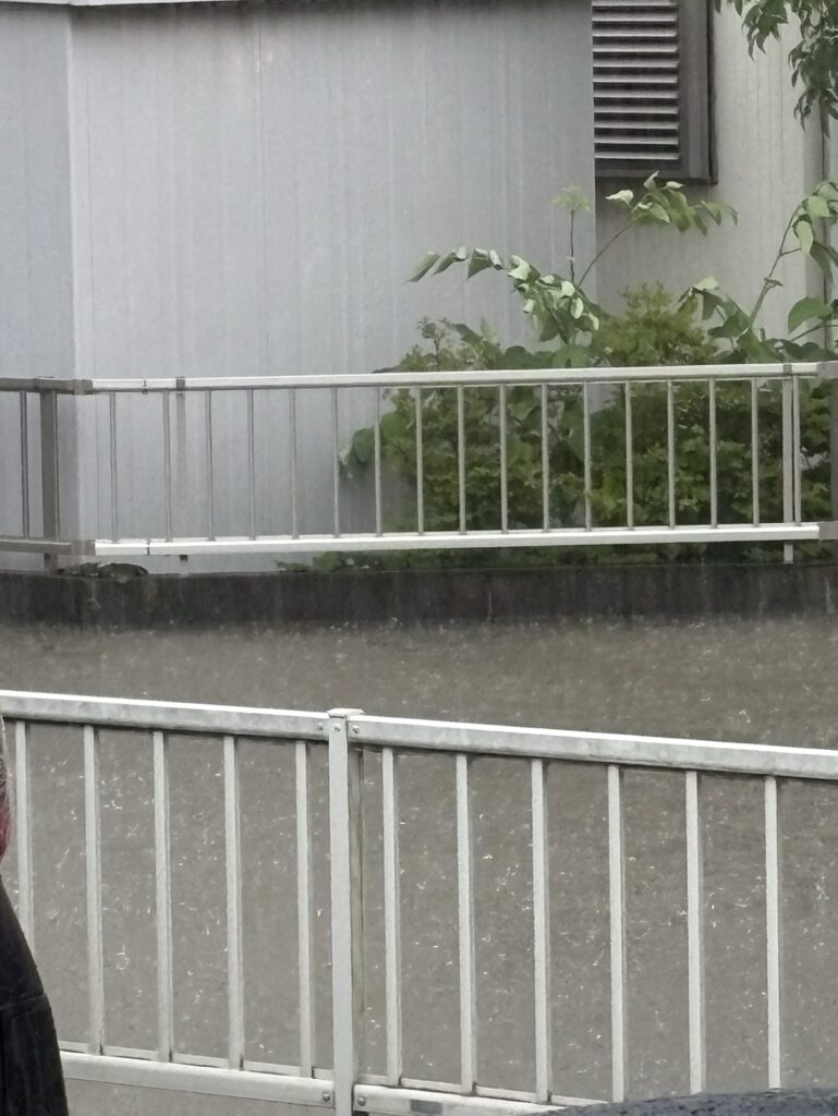 大雨冠水 台之郷町 市営韮川団地南 2026年7月17日